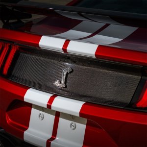 Ford Mustang Trim Panel - Rear - Ford Racing - Carbon Fiber - Gloss Finish - `20-`22